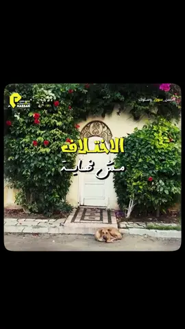 الاختلاف عمره ما كسر حب حقيقي … الاختلاف مش نهايه   #حسن_سوق_وسلوك #fyppppppppppppppppppppppp #Relationship #Love  @Muhammed Hassan محمد حسن  @SO HAILA  @Xena 📸  @Usifsamir 