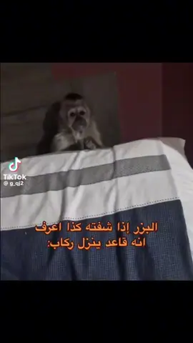 #في هذا اليوم 