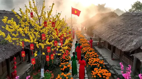 Gió Lạnh Rồi. Mai Nở Rồi. Tết Rồi Mọi Người Ơi 🌼🧧🌸#tet #tet2026 #tetnguyendan2026🧧🎆🧨 #khongkhitet #viral 