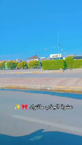 #وليد_العيساوي #🎀✨ 