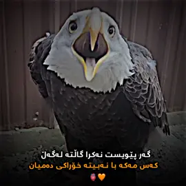 #foryou #tiktok #جوانترین_پۆست_لێرە_ببینە #لایکو_کۆمێنت_فۆڵۆلەبیر_مەکەن #وتەی_جوان 