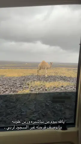 #اللهم_اغثنا_ولا_تجعلنا_من_القانطين 