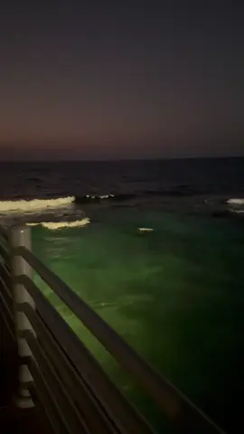 #fyp #foryou #القنفذة 