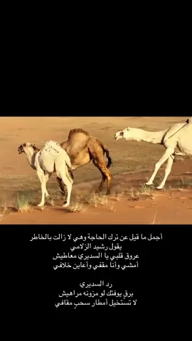 #hhhhhhhhhhhhhhh #fyppppppppppppppppppppppp #ترند 