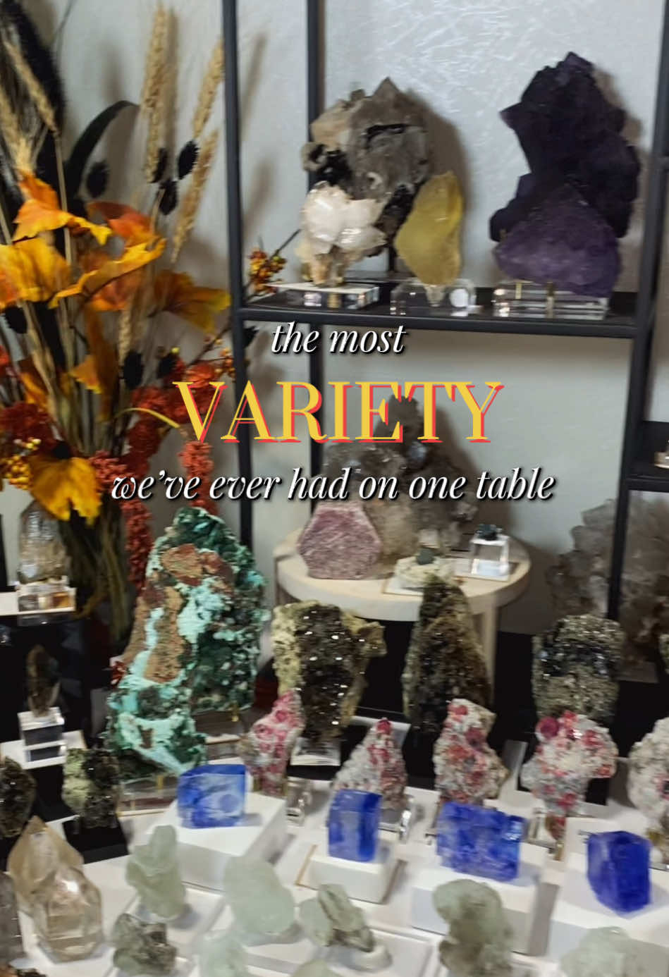 We’ve never had THIS much of a variety of crystals and minerals on a single table… ever?! There’s something for everyone 🤗