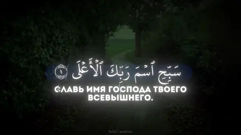 Чтец: Адам Аль-Инг|уший. Давно такие видео не делал. #ислам_религия_мира_добра#Таухид#salafiyyah#чтениекорана#ryp