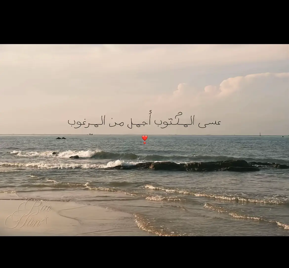 #يارب_وكلتك_امري 