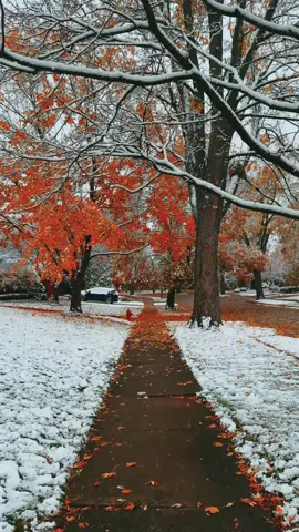 snowy season approaches 🍁❄️ #snow #vibe #fyp #liminal #ambient 
