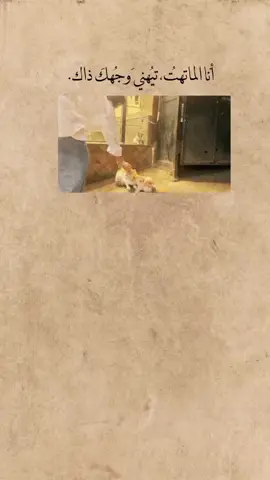 . #أقتباسات #foryoupage #LearnOnTikTok #fyp #f 