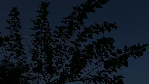 JUMMA MUBARAK ❤️#friday #foryou #islamic_video #viralvideo 