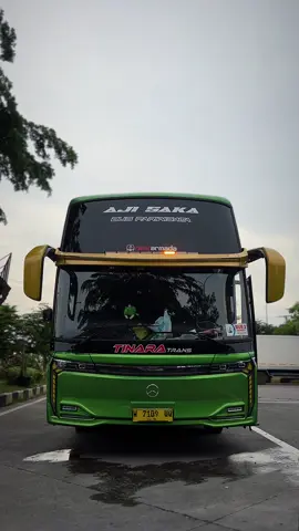 Cinematic bus Tinara