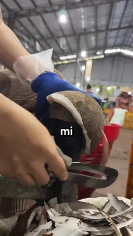 #capcut #capcutpioneer #capcutforus #reddit 