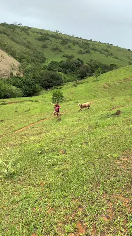 Corre 😂😂😂 #meme #viral 