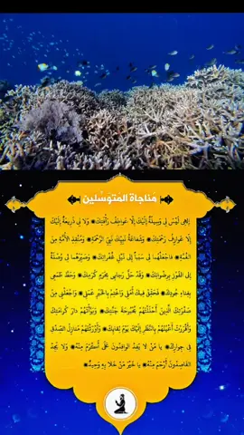 م#مناجاة_المتوسلين#اكسبلور #ترند #العراق #ادعيه_اذكار_تسبيح_دعاء_استغفار 