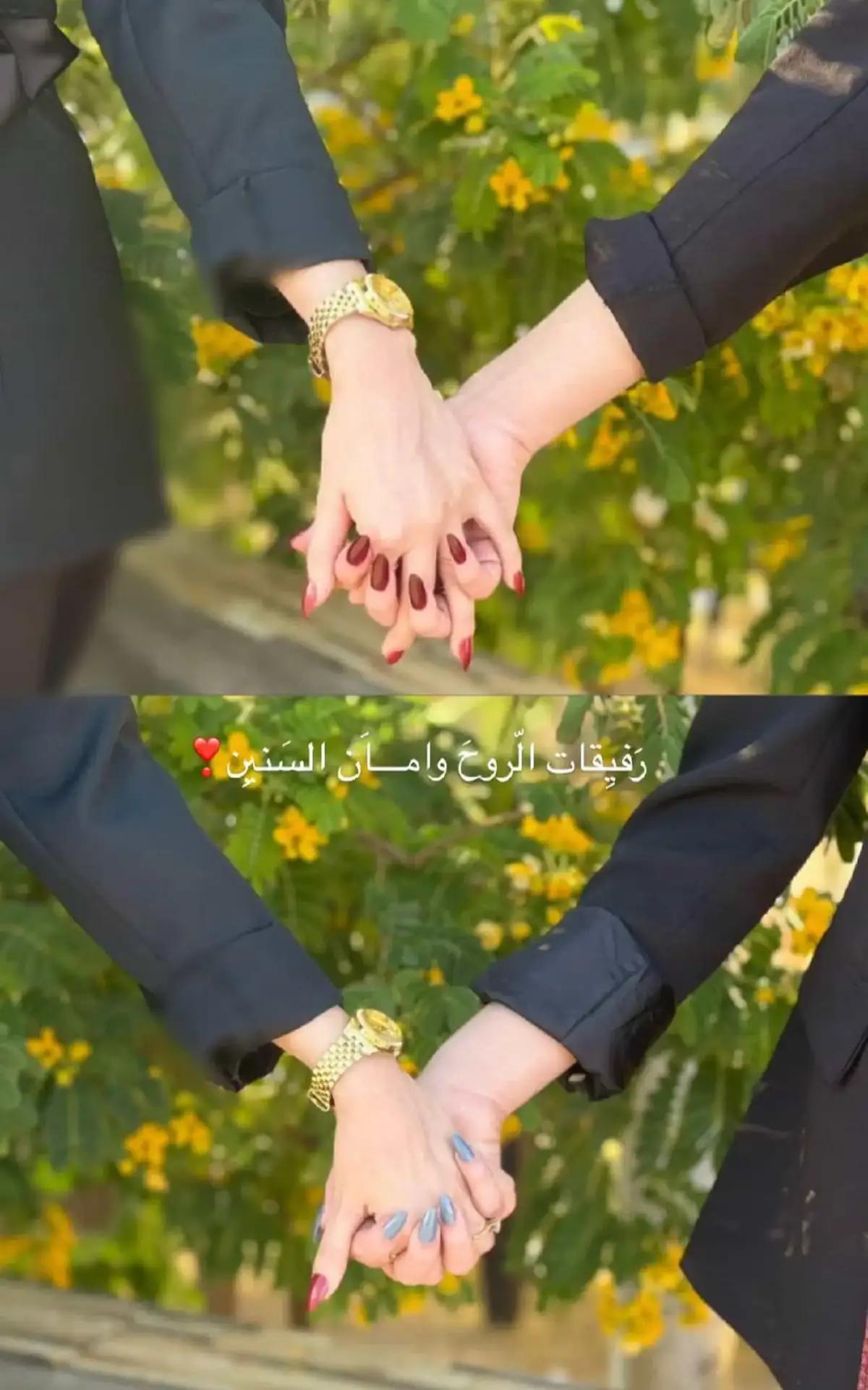 حبيبات قلبي 🥹♥️♥️