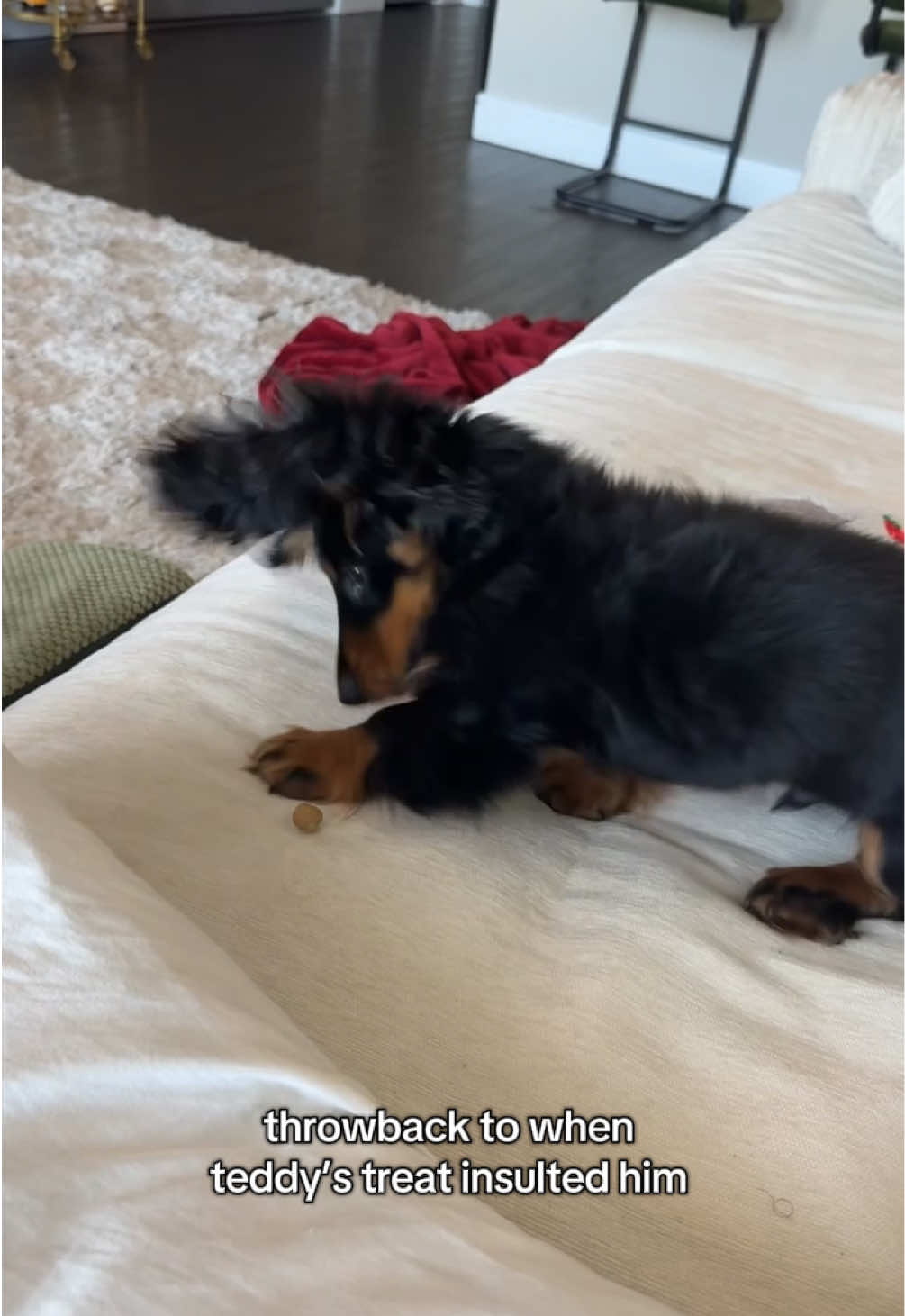 how dare the treat do that haha