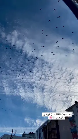 #علي_عبدالله #دهوك #المبدأ #كلام_واقعي 