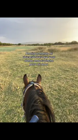 🫡🫡#videoviral #parati #caballos #fyp #campo 