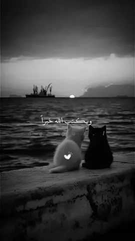 #اللهم_صلي_على_نبينا_محمد #دعاء #راحه_نفسيه🖤🎧 #اذكروا_الله_يذكركم #اللهم_صلي_على_نبينا_محمد 