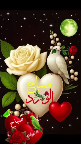 #دعاءفجرالجمعة #جمعة_مباركة #🤲🤲🕋🕋🤲🤲 #صباحكم_معطر_بذكر_الله💚🌹🌿🌷😍🌸🙏 #صباح_الخير 