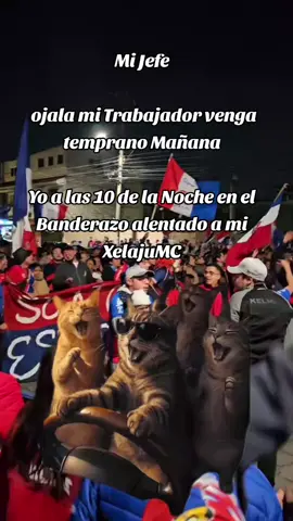 #XelajuMC #chivos🐐 #mariocamposecoestadio🇲🇫🐏 #Guatemala #aficion#aficionados #aficion #xela #guatemala🇬🇹 #sextoestado #peñas