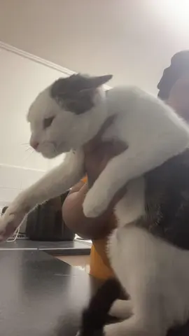 POSSIBLYYYYYY! #trendi #ziciano #possibly #backitup #vir  @Ziciano⚡️⚡️ 