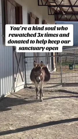 Your help is our hope #usa #unitedstates #usadonkey🇺🇸 #usa_tiktok #donkeys 