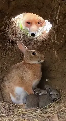 #سبحان_الله_وبحمده_سبحان_الله_العظيم #لايك_متابعه_اكسبلور #اكسبلورexplore #اكسبلور #parati 