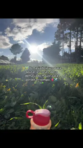 #❤️ #fypシ゚ #atardeceres🌅 #nopierdasmaseltiempo 