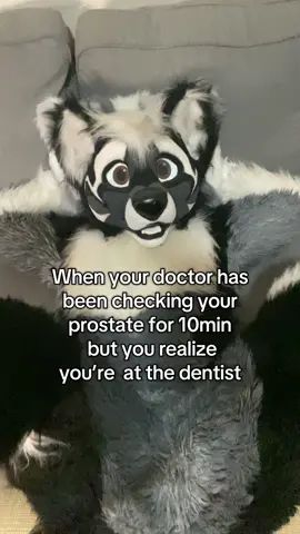 He’s checking out the wrong kinda cavity… maybe #furry #furrytiktok #fursuit #doctor #dentist 