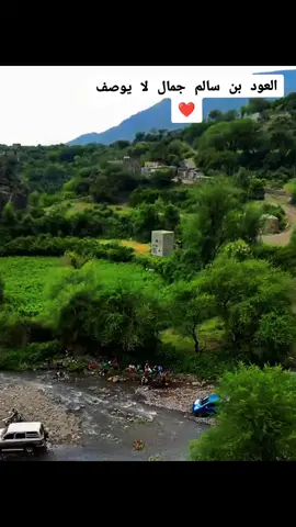 #creatorsearchinsights  العود بن سالم جمال لا يوصف 🌿💚  #العود#إب#اليمن#قران 