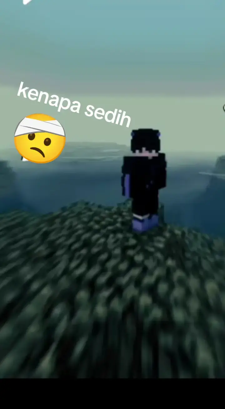 apakah dia pensi bermain Minecraft? #fyppppppppppppppppppppppp #foryoupage #dream #dreamminecraft #zxycba 