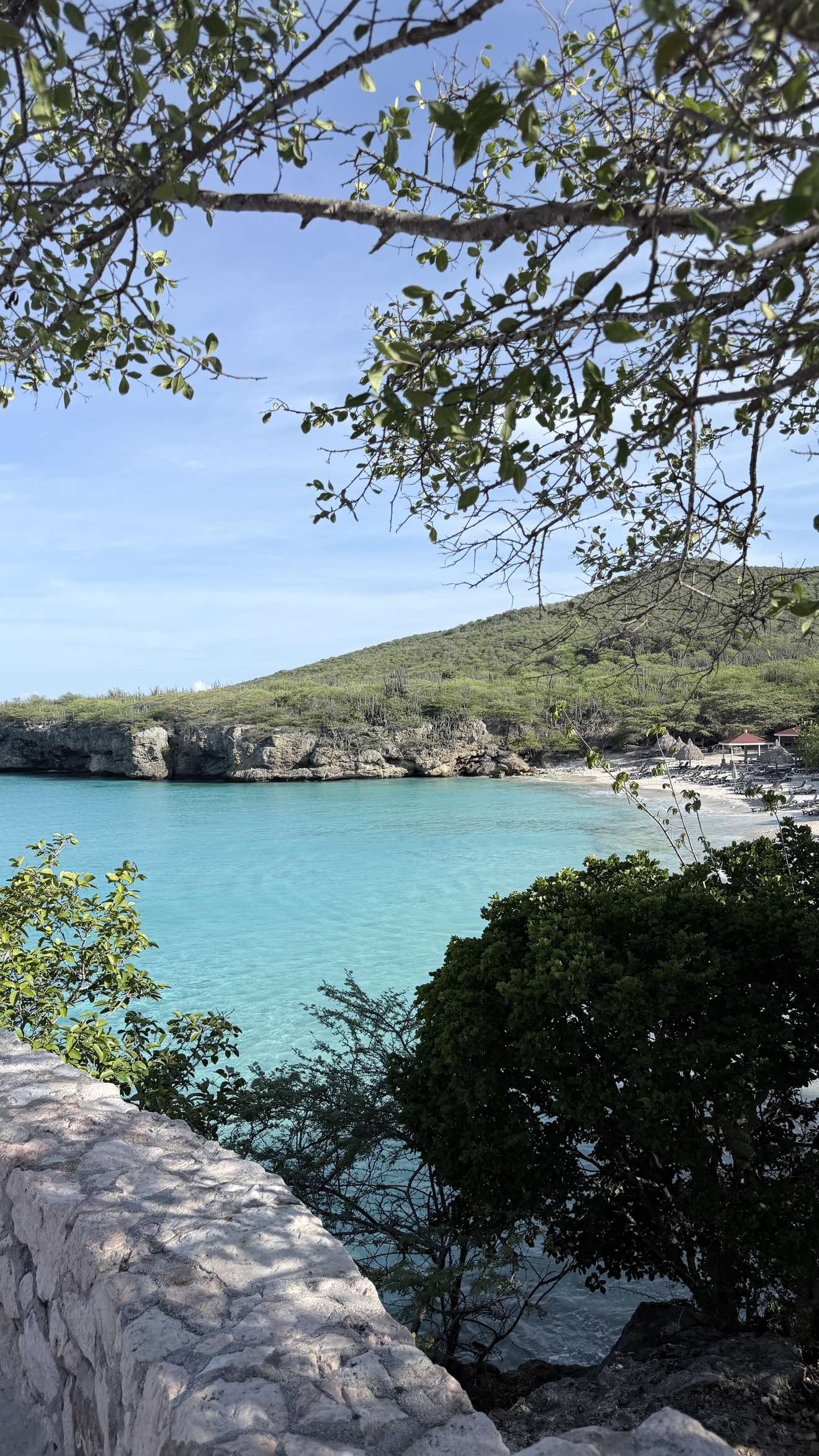 Respuesta a @Andres Cortes te recomiendo que si alquiles auto en Curazao 🇨🇼  #calicolombia🇨🇴 #curazao🇨🇼 #alquilerauto #curazao 