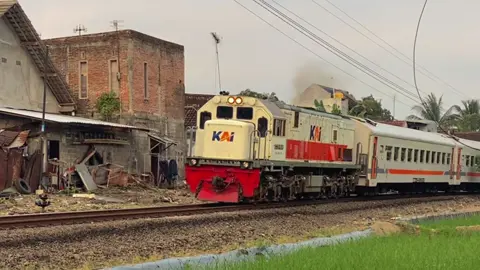 wit cuit wit cuit cuit😂 ib: @4rsaa  #capcut #edit #kai121 #railfansoftiktok #keretaapiindonesia 