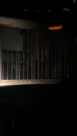 Напрягаю любимого охранника Иваныча 😔 верните свет💡 #светанет #загородныйдом #всемспокойнойночи #трекикоторыеищут 