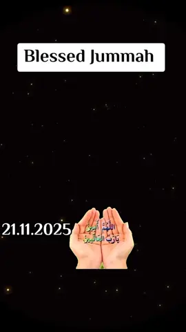 #ceatorsearchinsights 