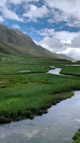 #LIVEIncentiveProgram #LIVEFEST2025 #MakeLIVECount #PaidPartnership #LIVEStory 