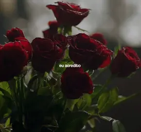 nos que temos o encanto // #ancestralidade #pombogira #lira  médium: @letícia🥀 