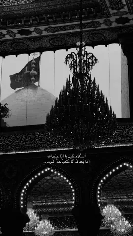 😔.#الحسين_عليه_السلام #اكسبلورexplore #شيعة_علي_الكرار #dancewithpubgm #سيد_سلام_الحسيني 