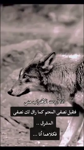 #الحمل_نار_وشرار  #الذئب #المنفرد  #لا_تثق_في_أحد 