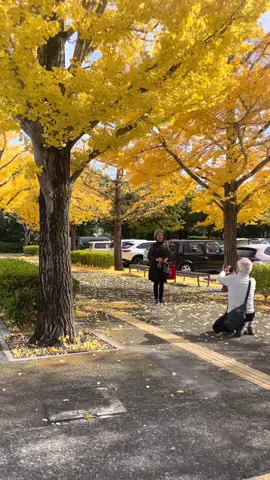 Phải đánh đổi bao nhiêu chân thành của tuổi trẻ để đổi lại cái nắm tay lúc về già #xuhuongtiktok th