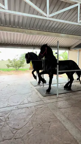 @🦄♾️ 🄲🄷🅁🄸🅂 ✨🏇 