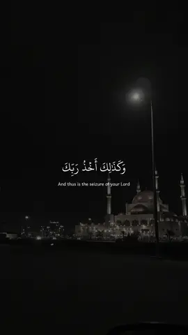 آيات سورة هود {102-104}