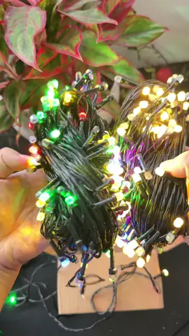 Combo 2 dây đèn Led #denlep #xuhuong 