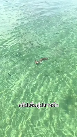 สัจธรรม2