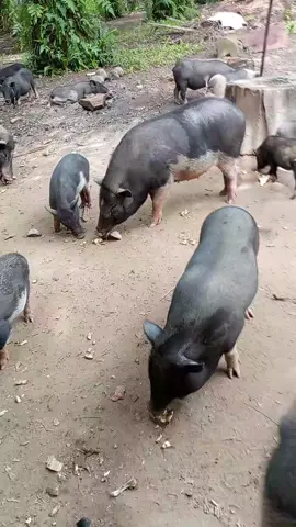 Aroma natal&tahun baru sudah mulai tercium✝️✝️