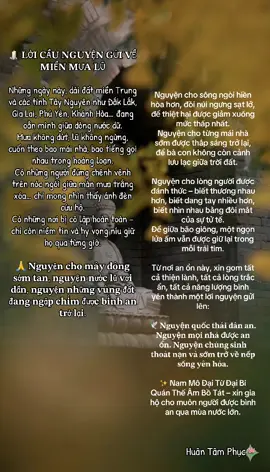 Nam Mô A Di Đà Phật🙏🏻🪷#ducphat #phatphapnhiemmau #binhan #cuocsong #huantamphuc 