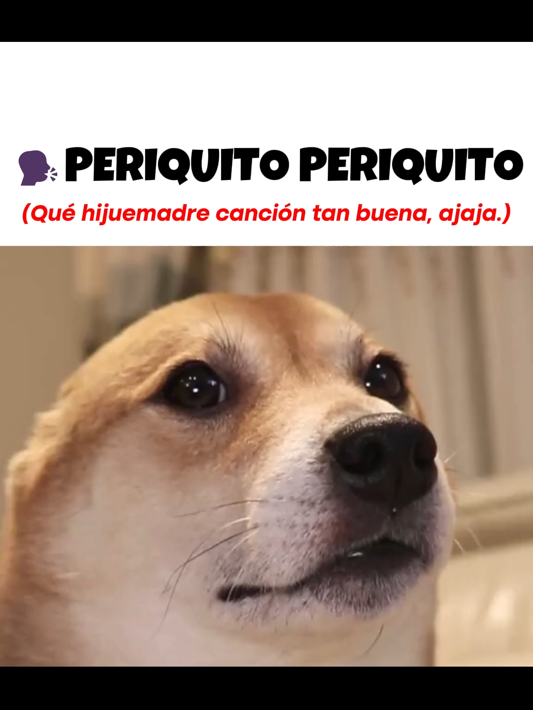 🗣️Periquito periquito se parece a su mamá!!! 💃🏻 #squidcraftgames4 #squidcraftgames #periquito #minecrat #squidgame