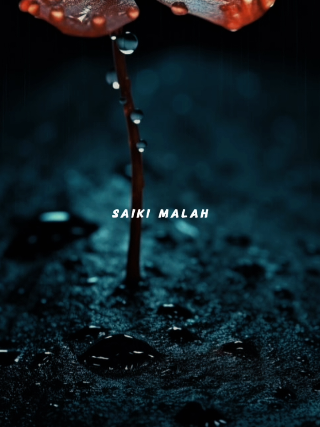 mbuh kepiye - @notasenja  #overlay #templatelirik 