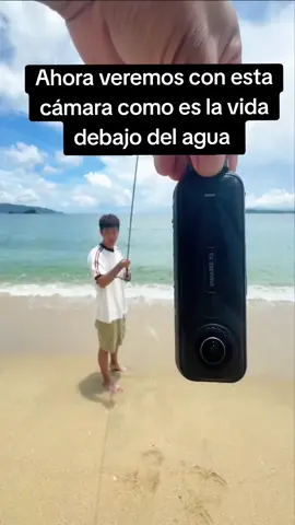 La vida debajo del Agua con una Cámara HD